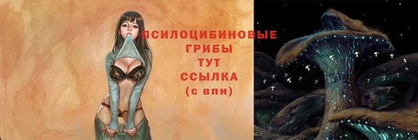 дурь Пестово