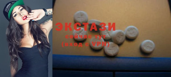 стаф Пересвет