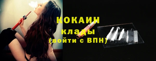 дурь Пестово