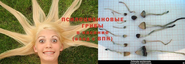 дурь Пестово