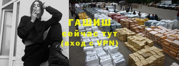 стаф Пересвет