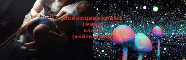 дурь Пестово