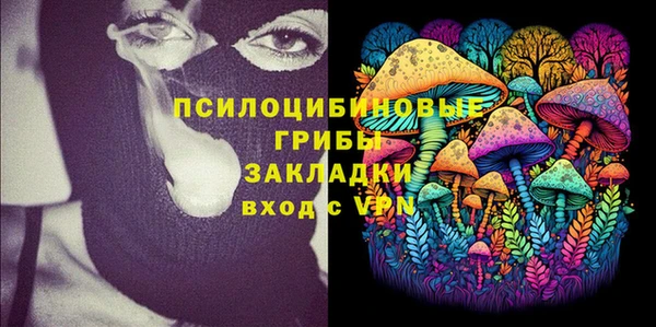 стаф Пересвет