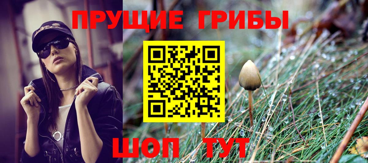 Галлюциногенные грибы Psilocybine cubensis  Галлюциногенные грибы Magic Shrooms  Вход с VPN  Екатеринбург 